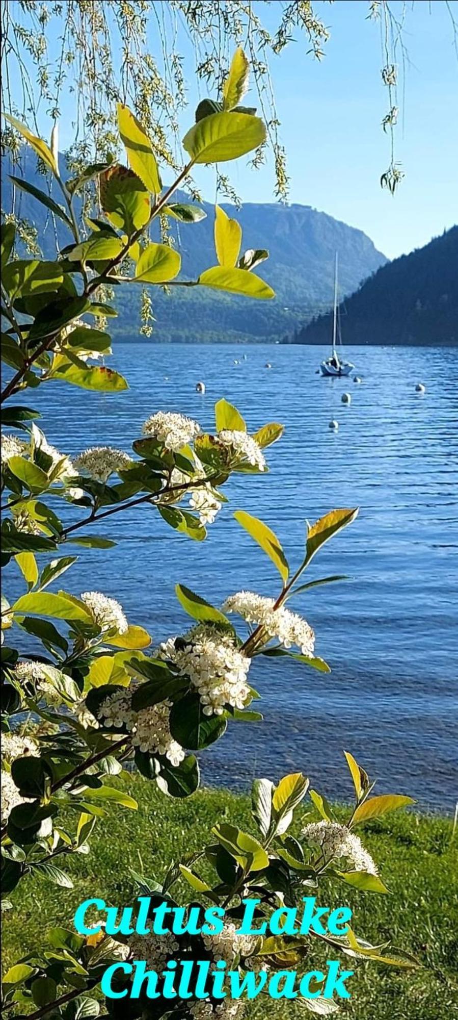 Private 2 Bedrooms Suite Near Hwy 1, Cultus Lake, Heritage Park, Fishing, Coliseum Chilliwack Zimmer foto